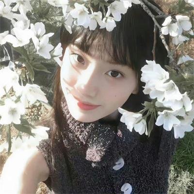 穿越橄榄树林